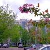 Городской пейзаж. :: Ольга Довженко