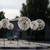 Стародуб. Одуванчики. :: Ольга 