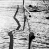 800-504 :: Maria Rainer