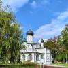 В зелени весь. :: Александр Кондаков
