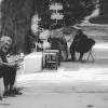 Грустные глаза (чб) :: Сергей Царёв