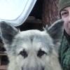 Пес :: Валерий 