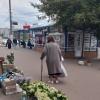 *** :: Валентина Береснева