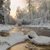 Линдуловская роща :: skijumper Иванов