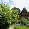 Весны цветение :: Ольга 