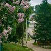 Плёс. Маленький городок на Волге. Май 2025 :: Вячеслав Владимирович