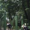 в Летнем саду :: zavitok *