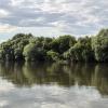 Над водой :: Алексей Лукаев