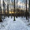 Декабрь, который уже можно признать за зиму :: Андрей Лукьянов