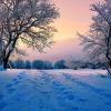 winter sunrise :: Elena Wymann
