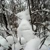 Из жизни снежариков...:-) :: Андрей Заломленков