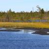 Водоёмы Сургутского района (серия) :: Любовь Сахарова