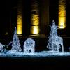 Новогодние украшения города Курска. :: Руслан Васьков