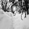 После снегопада. :: Михаил Столяров