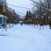 Ростов-на-Дону. Центральная аллея парка Октябрьской революции зимой. :: Пётр Чернега