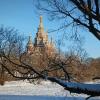 Петергоф :: Наталья Герасимова