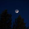 Красота юного... месяца над тайгой) :: Николай Зиновьев