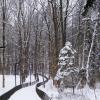 Зимний лесопарк :: Рита Симонова