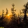 ЗАКАТЫ В ТАЙГЕ :: HART BAD