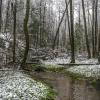 Апрельский снег украсил ручей :: Сергей Цветков