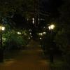 Вечер у ресторана :: Ольга 
