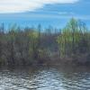 Spring by the full-flowing Bolshoy Puchkas River | 2 :: Sergey Sonvar