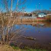 На берегу городской речки :: Александр Синдерёв