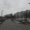 стылый март :: Елена Шаламова