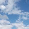 г. Монреаль , Май 2026 г. :: Валерий Кокорев