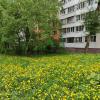 Самара :: Надежда 