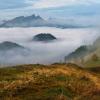 misty morning :: Elena Wymann