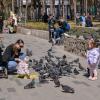 В парке :: Татьяна Машошина
