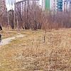 Май...Рыбак на берегу Югвнской Оби! :: Владимир 