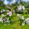Spring is coming 05-2026 8 :: Arturs Ancans
