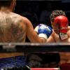 Два тигра :: Владимир Куликов