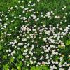 Spring is coming 05-2026 10 :: Arturs Ancans