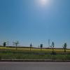 Просторы :: Лютый Дровосек