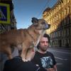 My magic Petersburg_04290_У светофора, на ул. Некрасова :: Станислав Лебединский