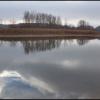Осень :: **** vedin