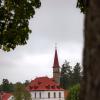 За кроной дерева виднеется Приоратский дворец :: Анастасия Белякова