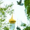 БЛАГОдать :: Леонид Абросимов