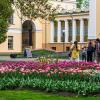Прогулка по городу Гомель :: Игорь Сикорский