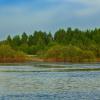 A May evening by the Sukhona River | 3 :: Sergey Sonvar