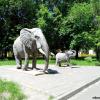 В ростовском зоопарке :: Нина Бутко