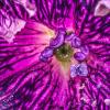 Внутренний мир 3 :: Андрей Щетинин