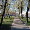 Апрель. :: Владимир Драгунский