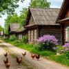 Деревенское :: Лариса С.