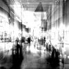 . :: anton laba 