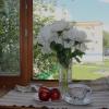 Белые пионы :: Венера Чуйкова
