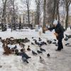 Кормёшка :: Василий Королёв